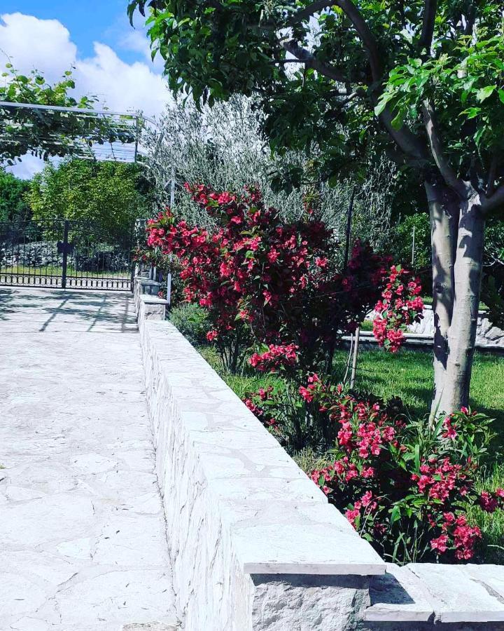 מלון River Side טרביניה מראה חיצוני תמונה