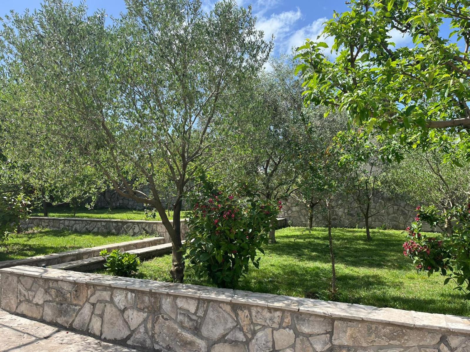 מלון River Side טרביניה מראה חיצוני תמונה